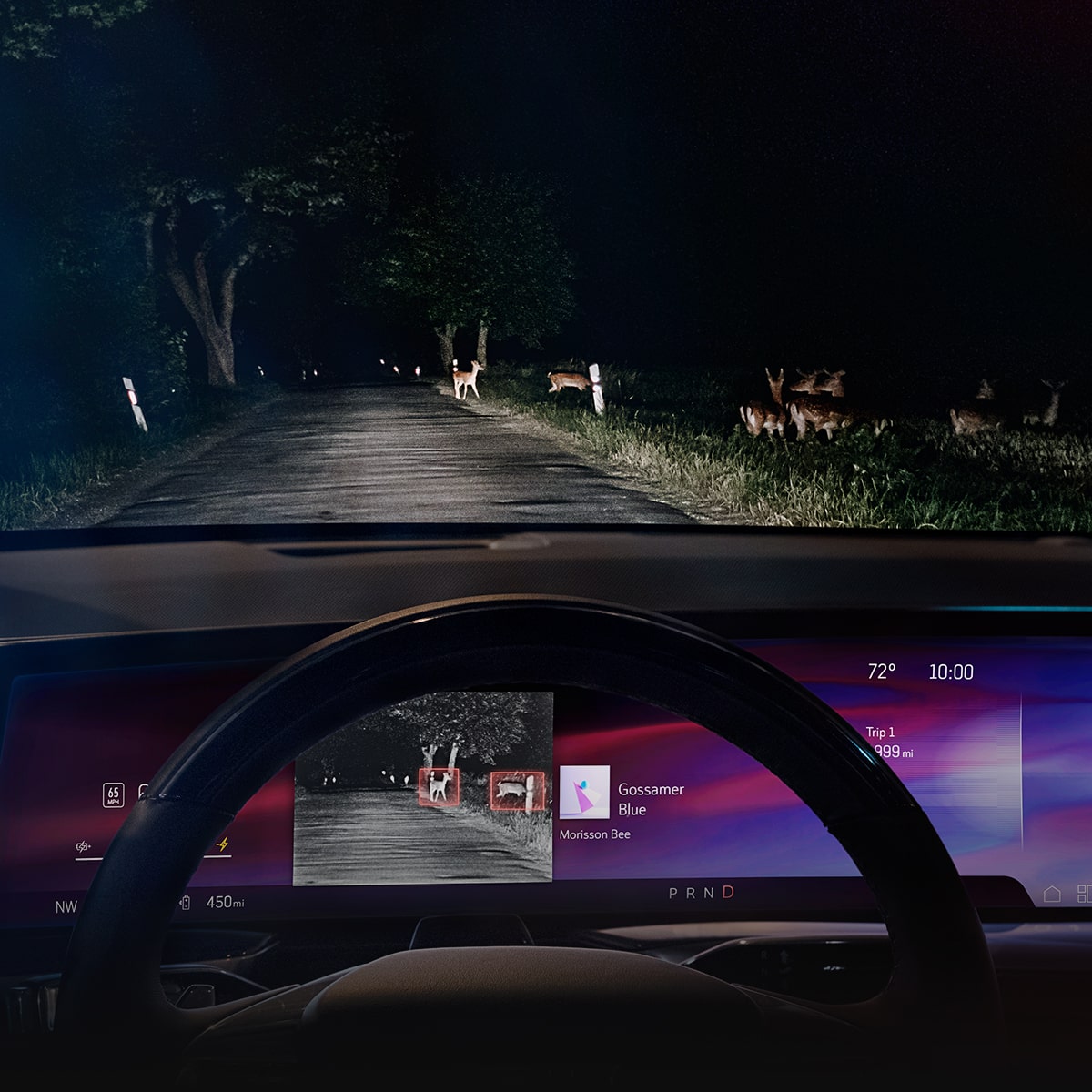 Drivers view of the Night Vision Thermal Imaging in action inside the 2025 Cadillac Escalade.