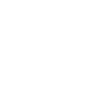 FLO logo